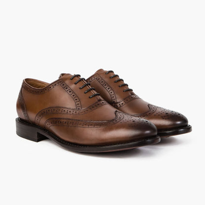 Aviator | Chestnut